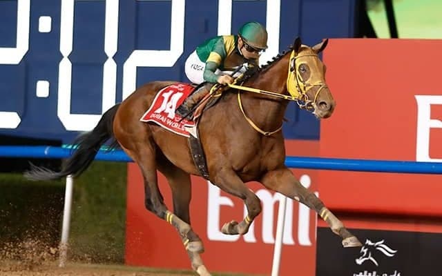ウシュバテソーロら23頭 ドバイWCデー招待受諾の日本馬が発表