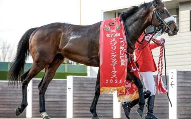 中山芝1800mで連対率57.1％のハイアベレージ スプリングS制したシックスペンスの血統背景とは