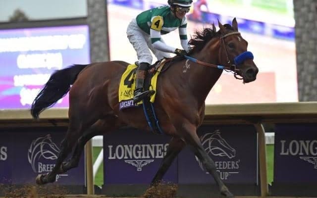 史上最強との呼び声高かったフライトライン 血統専門家から見た種牡馬としての評価は？