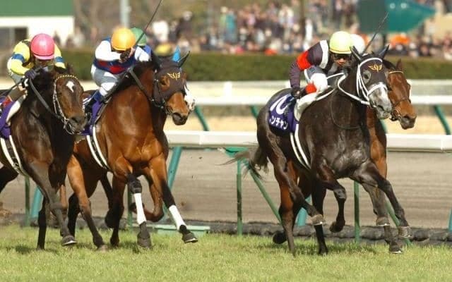 「短距離王国」四天王が上位を席捲 女王が“後輩”の龍王を下した12年高松宮記念