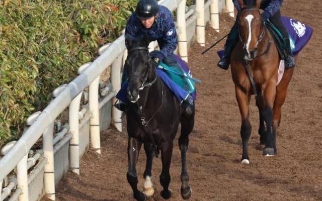 ライジングクロスの2022(クロワデュノール)など、先週の入厩情報/栗東トレセンニュース