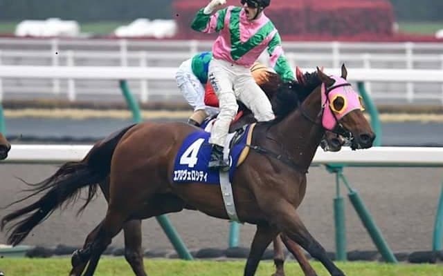 高松宮記念を制した唯一の海外からの刺客 スプリント大国の強さ示した偉業