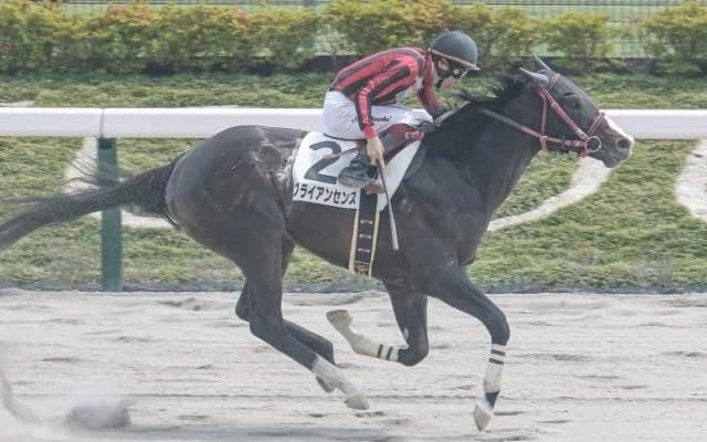 【マーチS予想オッズ】ブライアンセンスが予想1番人気