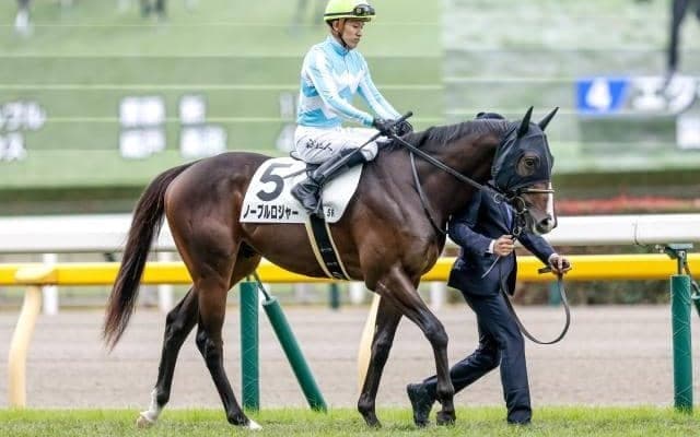 【毎日杯予想オッズ】ノーブルロジャーが予想1番人気