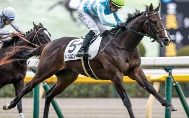 【毎日杯展望】無傷2連勝のノーブルロジャーと新星ニュージーズが激突