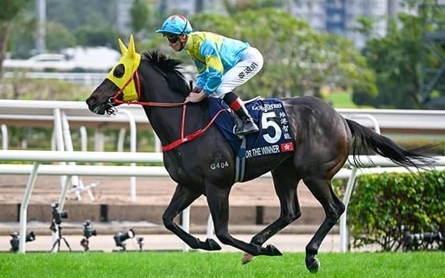 高松宮記念参戦の香港馬は1200mに適性  追い切りで師も納得の動き見せる