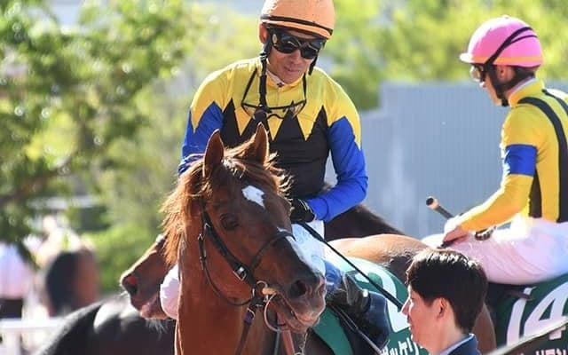 2年連続タイトルホルダーの2着 重賞3勝馬ボッケリーニが日経賞V狙う
