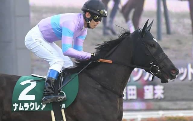 3戦3勝のローテで高松宮記念へ 重賞4勝ナムラクレアがGI制覇に挑む
