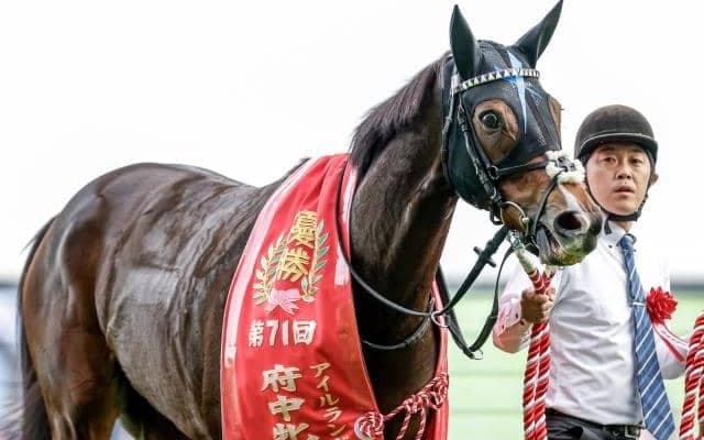 【高松宮記念予想】AIも有終の美を期待!? 実績馬ながら妙味ありの一頭とは