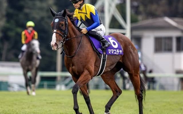 【高松宮記念・調教後馬体重】ママコチャは498kg、ルガルは532kg