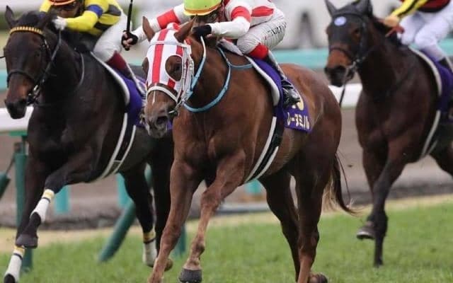 17年桜花賞馬の仔が待望のデビュー 日曜中山5Rで初勝利なるか