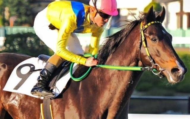 千葉ロッテ・吉井監督所有のリジン 再転入初戦でJRA初勝利なるか