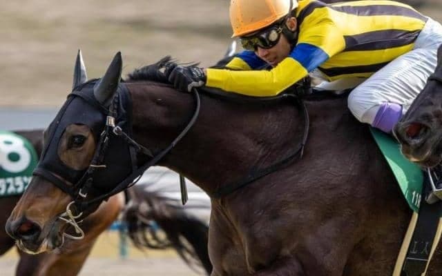 名繁殖ソーマジック一族の悲願へ 高松宮記念でGI制覇にチャレンジ
