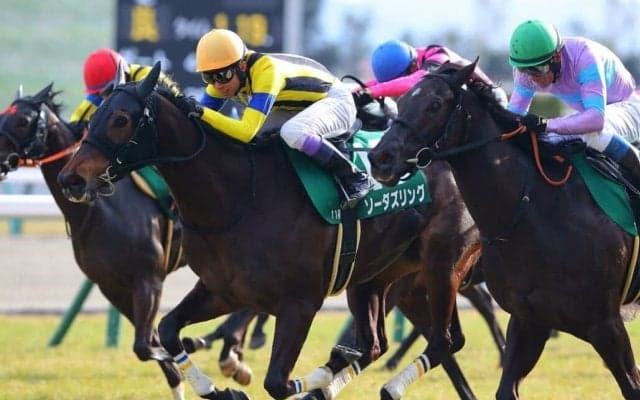 【武豊日記】これからも憧れ続けます