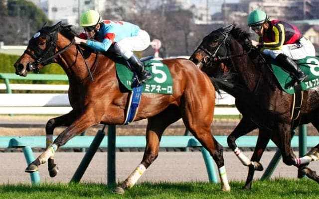 【フラワーC】ミアネーロが混戦から抜け出す…2着はホーエリート