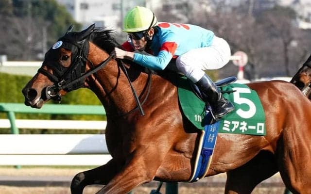 【フラワーC】津村「発走時間が遅くなって落ち着いた」ミアネーロが重賞初制覇