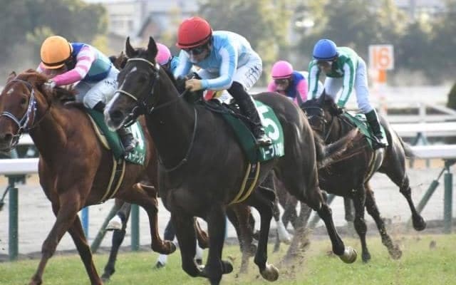 【毎日杯枠順確定】ノーブルロジャーは1枠1番、ニュージーズは8枠10番