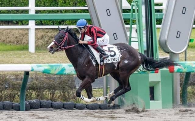 【マーチS枠順確定】ブライアンセンスは7枠12番、ウェルカムニュースは3枠4番