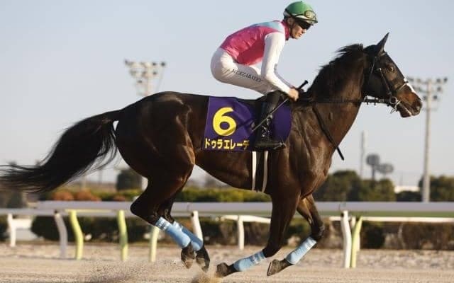 ドゥラエレーデ・ウィルソンテソーロら ドバイWCデー出走のJRA所属馬13頭が現地到着