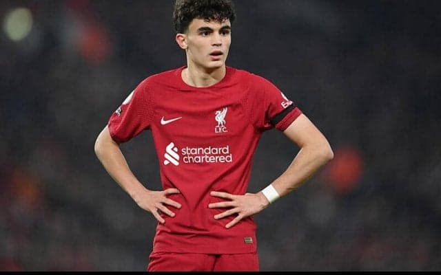 「新種の筋肉みたい」「どうなってるんだ？」リバプール新星の超進化したふくらはぎが話題に！「別人じゃん」