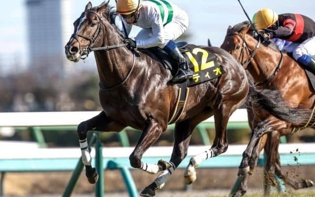 【ダービー卿CT想定馬・騎手】ディオ、パラレルヴィジョンなど15頭