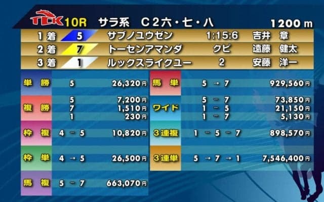 【TCK】普通馬複の配当レコードを更新…66万3070円