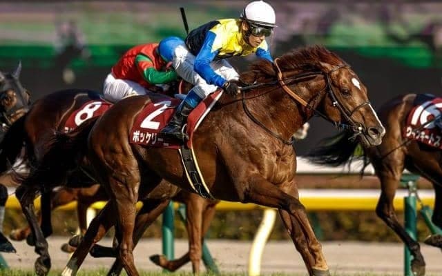 【今日の注目ポイント】中山で日経賞と阪神で毎日杯の2重賞