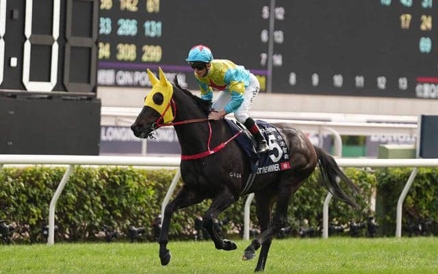 高松宮記念は短距離路線で猛威を振るう５歳勢が中心　一発あるなら「香港からの刺客」か