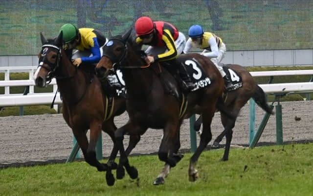 【君子蘭賞結果】ミエスペランサが直線一気を決めて無傷の2連勝