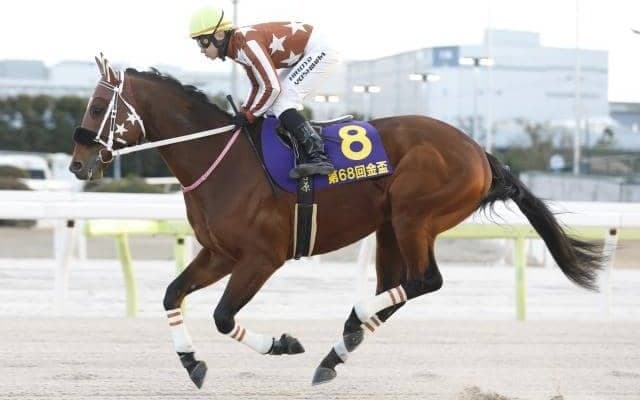 【佐賀競馬】今年は好メンバー集うはがくれ大賞典 過去勝ち馬0の最内枠で勝利なるか
