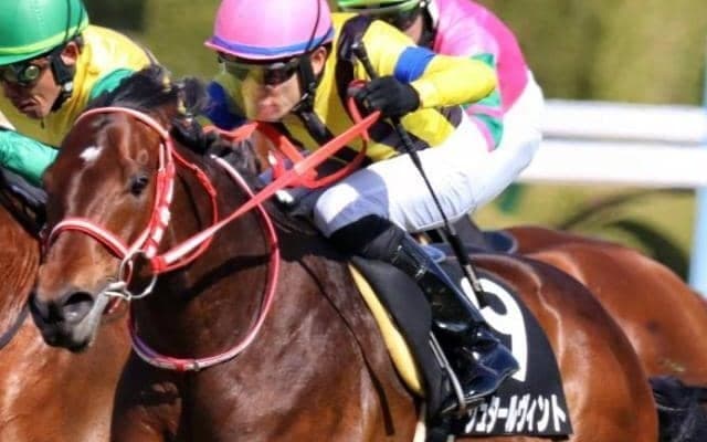 母は桜花賞馬マルセリーナ 良血馬が日曜中山10Rで連勝狙う