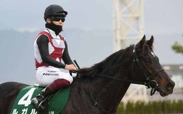 【高松宮記念前日オッズ】ルガルが3.5倍で1番人気