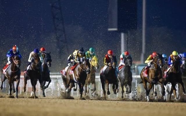 ドバイWCはグリーンチャンネルや地上波で生中継 ドバイワールドカップデーの放送予定が発表