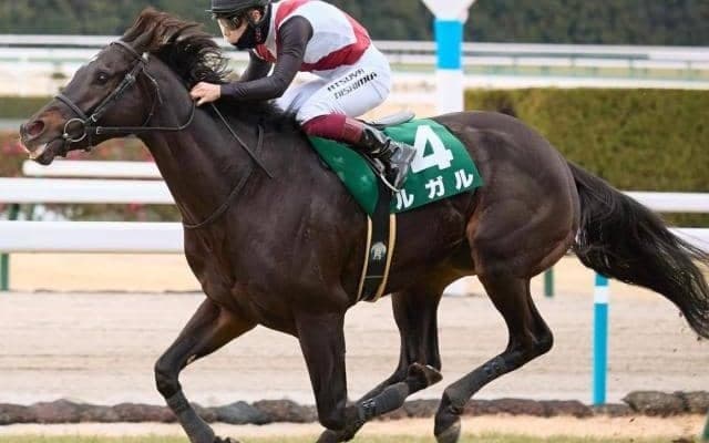 霜降り明星・粗品は高松宮記念で3連単40点勝負 「正直全く分かりません」