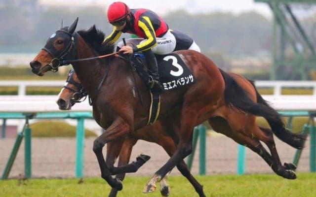 【君子蘭賞】良血ミエスペランサがデビュー2連勝