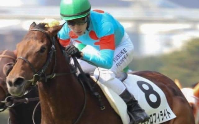 2歳王者グレナディアガーズの半妹 阪神9Rの四国新聞杯で連勝狙う