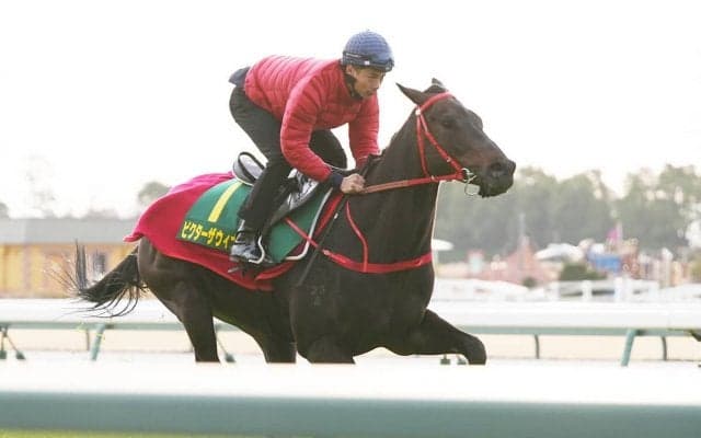 激戦の高松宮記念「スプリント王国」からやって来た刺客は本当に強いのか？