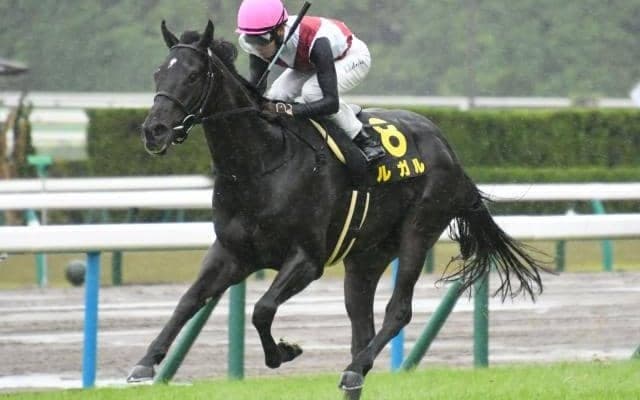 【高松宮記念・馬体重】ルガルは524kg(+2)、ナムラクレアは470kg(-8)