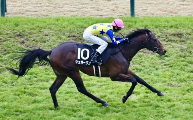 【大寒桜賞】キタサンブラック半弟・シュガークンが連勝