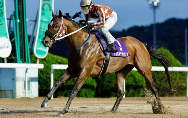 【佐賀・はがくれ大賞典】大井所属セイカメテオポリスが快勝…吉原「枠的には嫌なところに入ったと思っていた」
