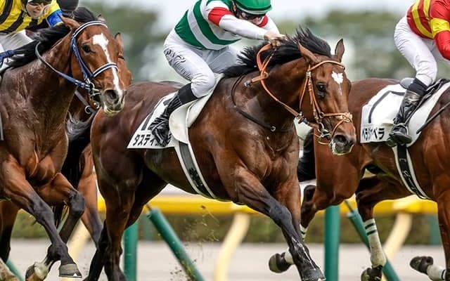 大阪杯とダービー卿CTの2重賞＆ドバイWCデー/今週の競馬界の見どころ