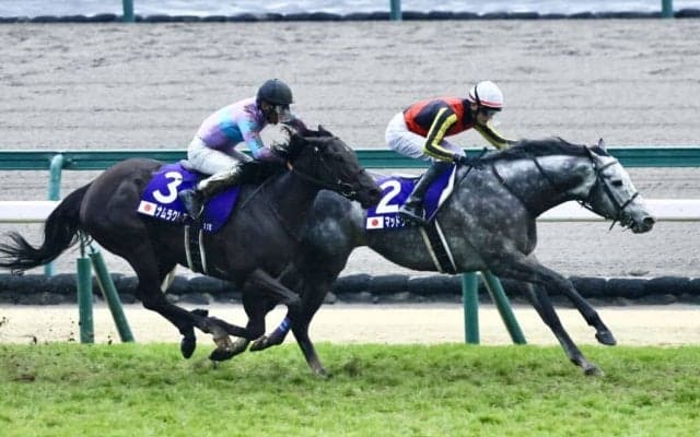 【高松宮記念】浜中「悔しい気持ちで一杯です」レース後ジョッキーコメント