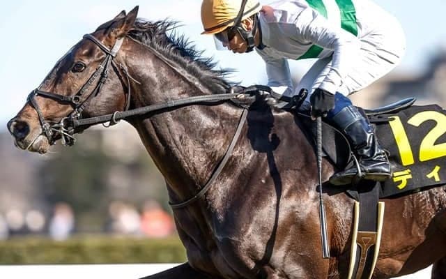 【ダービー卿CT想定騎手】ディオは北村宏司騎手、パラレルヴィジョンは戸崎圭太騎手