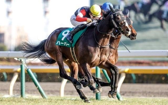 【AI予想・大阪杯】関西馬が圧倒も地力の高い関東馬には要注意!?  本命候補は人気薄3頭で波乱を示唆