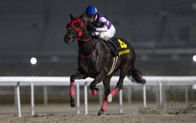 【黒船賞】サンライズホークは4枠4番