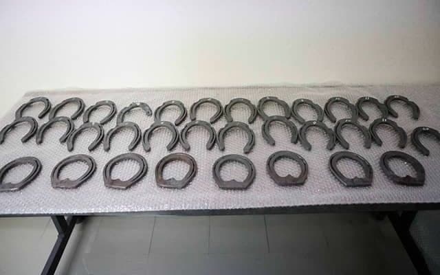 装蹄技術を3部門で審査 全国予選も兼ねて競技会