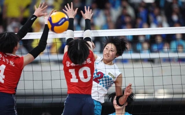 女子は金蘭会高、下北沢成徳高ら3年生に逸材ぞろい【さくらバレー2024】