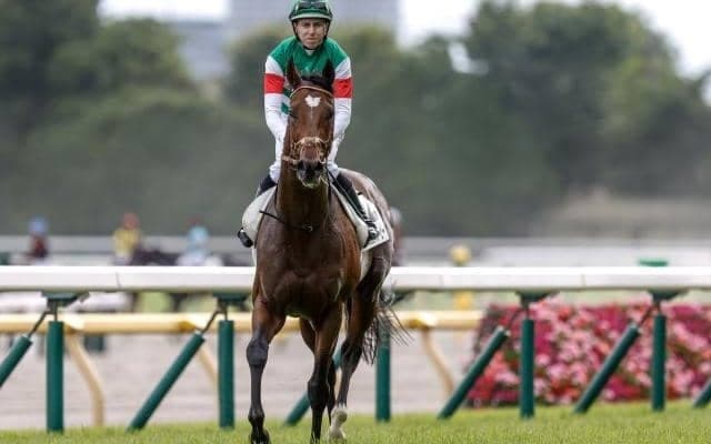 【大阪杯予想オッズ】タスティエーラが予想1番人気