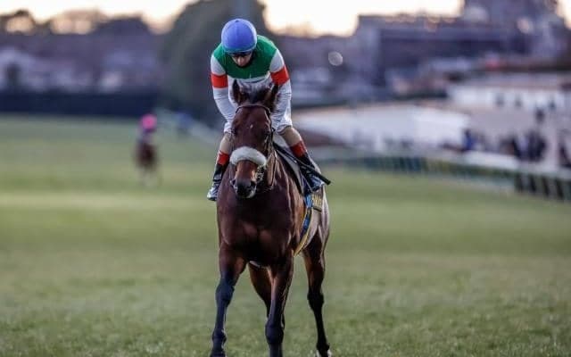 【ダービー卿CT予想オッズ】パラレルヴィジョンが予想1番人気