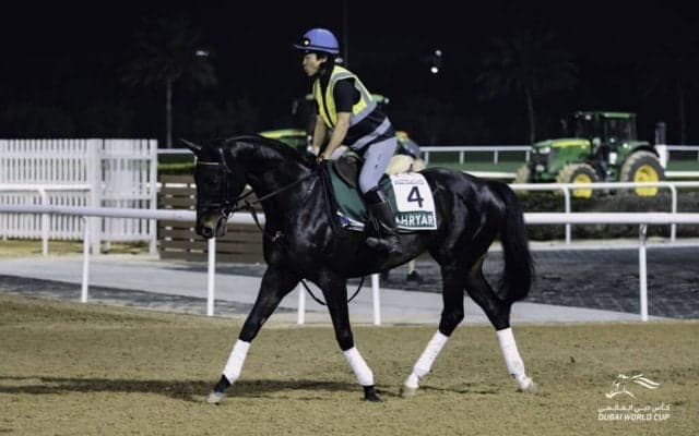 【ドバイWCデー】日本出走馬近況
